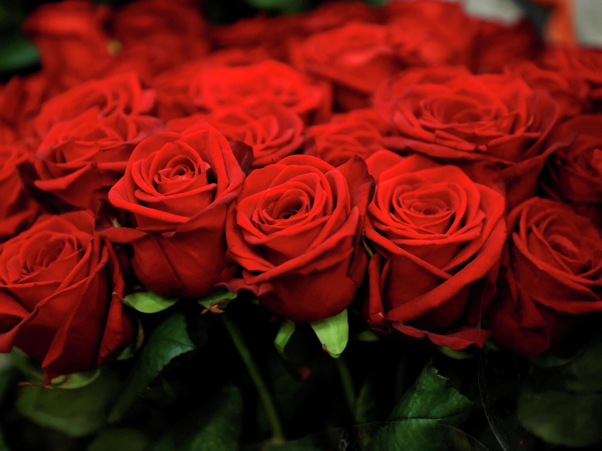 Día de San Valentín, un nicho de paz en Cuba para el amor en tiempos de  pandemia