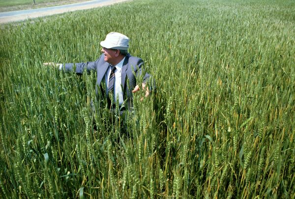 Mijaíl Gorbachov en una visita de Estado a Kazajistán, en 1991. - Sputnik Mundo