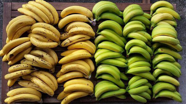 Plátanos maduros e inmaduros - Sputnik Mundo