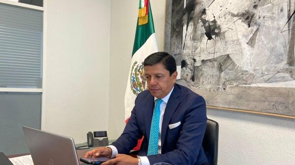 Fabián Medina, exjefe de la oficina del canciller de México - Sputnik Mundo
