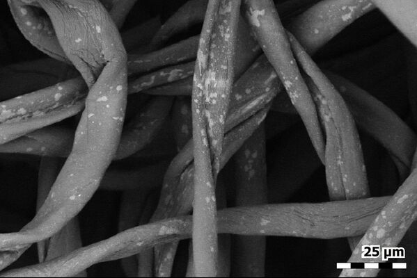 Fibras de una mascarilla de algodón bajo el microscopio. - Sputnik Mundo