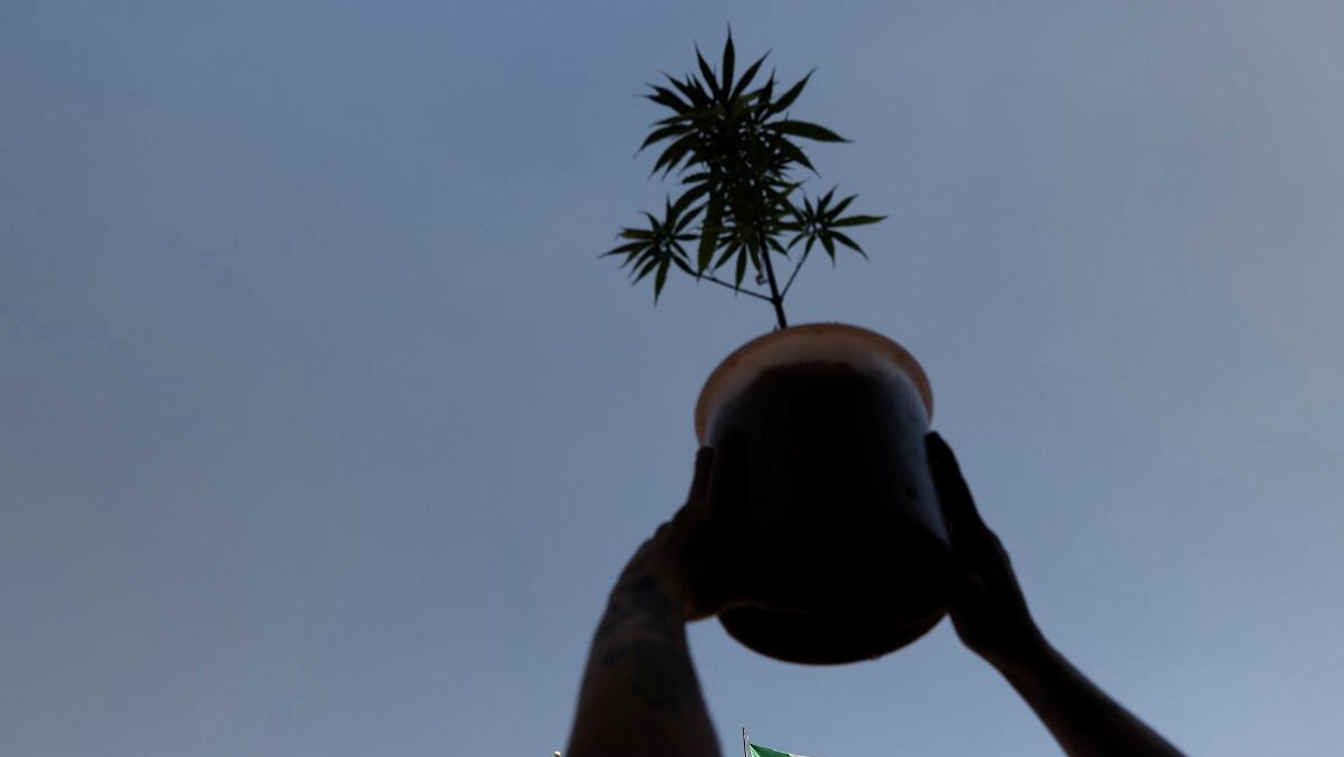 Un activista a favor de la marihuana legalizada sostiene una planta de cannabis durante una marcha en la ciudad de México, el 9 de marzo de 2021. - Sputnik Mundo, 1920, 10.03.2021