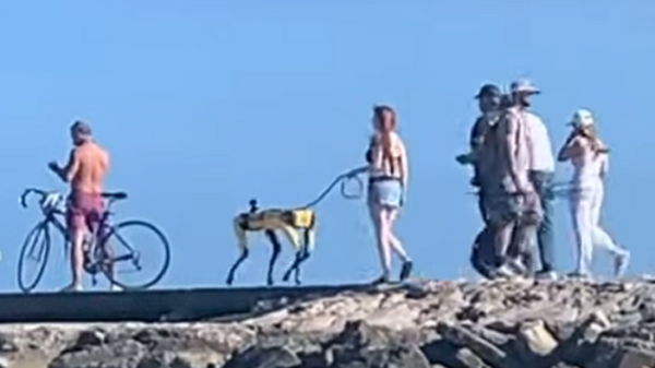 Una mujer pasea a su perro robótico - Sputnik Mundo