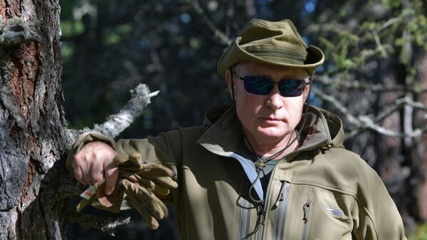 Vladímir Putin, presidente de Rusia en taiga - Sputnik Mundo