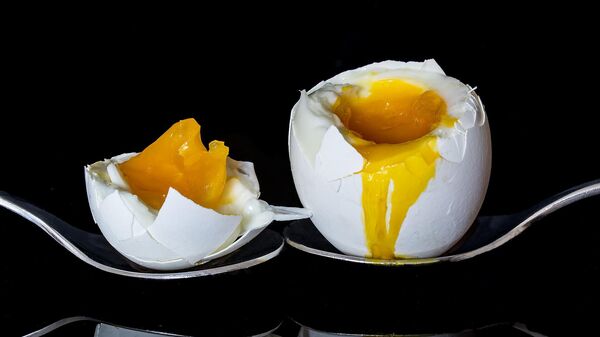 Un huevo, imagen ilustrativa - Sputnik Mundo