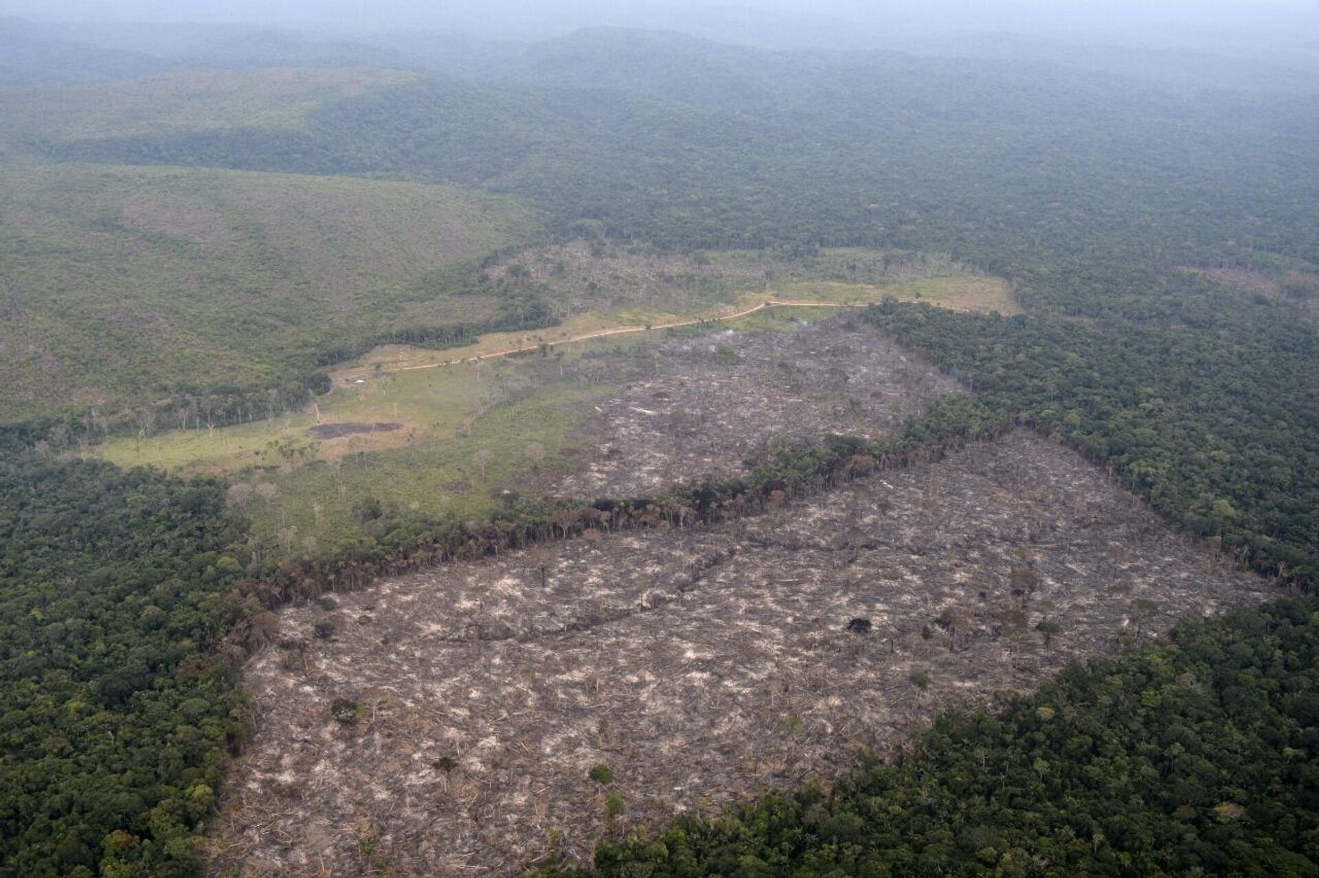 Deforestación en Colombia - Sputnik Mundo, 1920, 26.03.2021