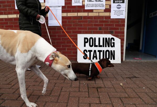 Una señora pasea con los perros frente a un colegio electoral durante las elecciones municipales en la circunscripción de Hartlepool (Reino Unido), el 6 de mayo de 2021. - Sputnik Mundo
