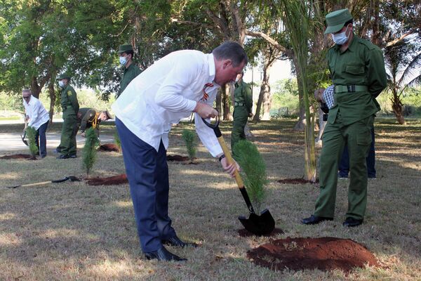 Embajador de Rusia en Cuba, Andréi Guskov, planta árbol en Jardín de la Memoria en La Habana - Sputnik Mundo