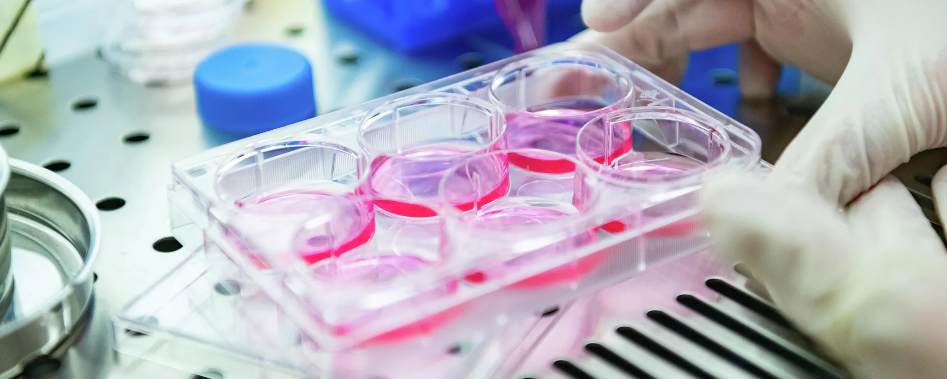 Sustancias en el Laboratorio de Investigación de Biofísica de la NUST MISIS (imagen referencial) - Sputnik Mundo, 1920, 14.12.2022