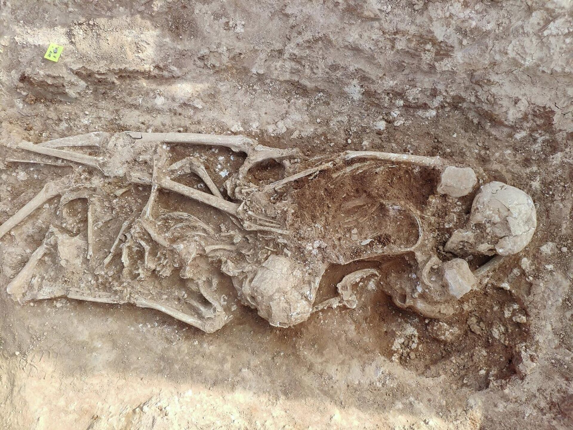 Esqueleto hallado debajo de un colegio de Alcàsser - Sputnik Mundo, 1920, 02.06.2021