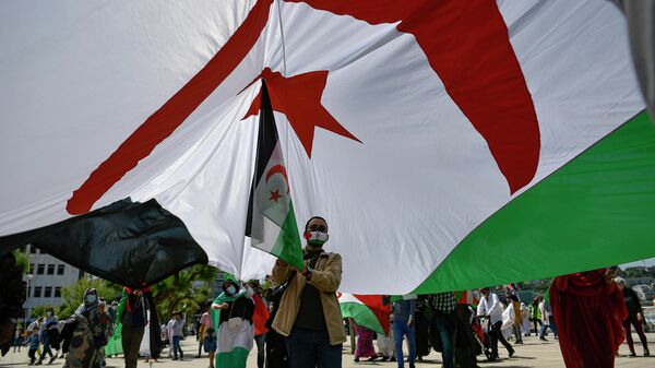 Un manifestante con la bandera de Sahara Occidental (archivo) - Sputnik Mundo