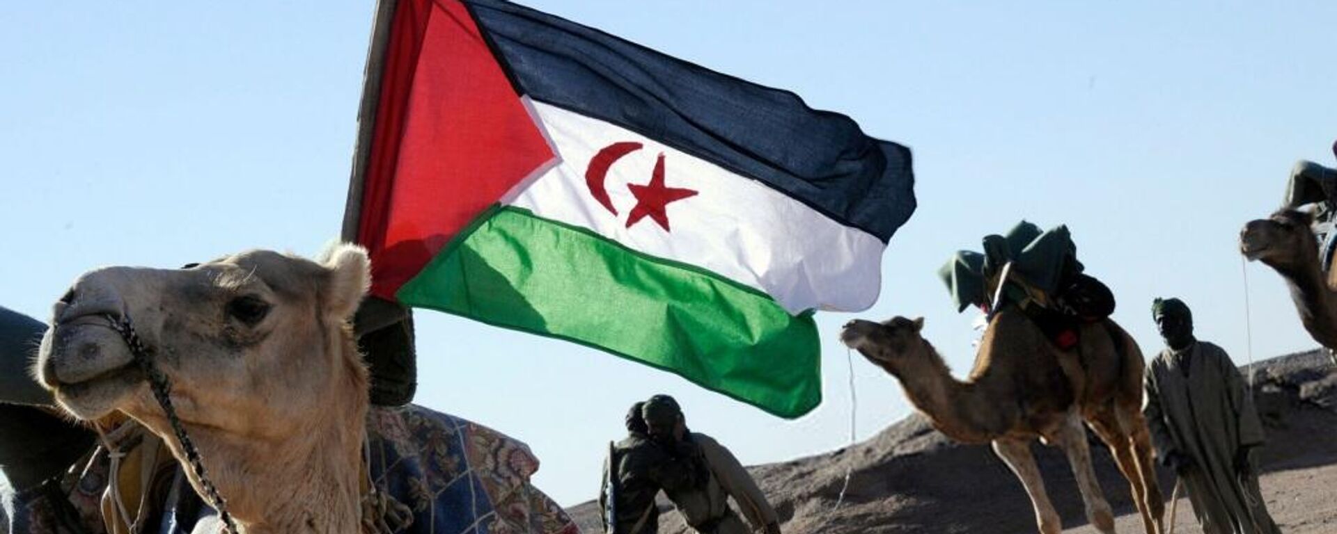 Bandera de Sáhara Occidental - Sputnik Mundo, 1920, 03.06.2021