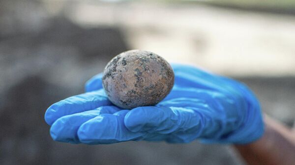 Un huevo de 1.000 años encontrado en Israel - Sputnik Mundo