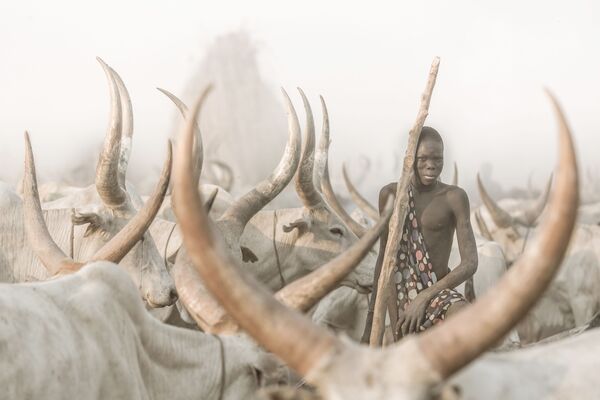 El fotógrafo suizo Josef Bürgi se llevó el premio en la categoría Environmental Portrait con su &#x27;The Mundari Cattle Herder&#x27; (&#x27;El pastor de ganado mundari&#x27;). - Sputnik Mundo