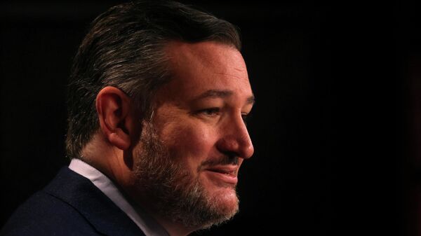  El senador republicano de EEUU Ted Cruz  - Sputnik Mundo