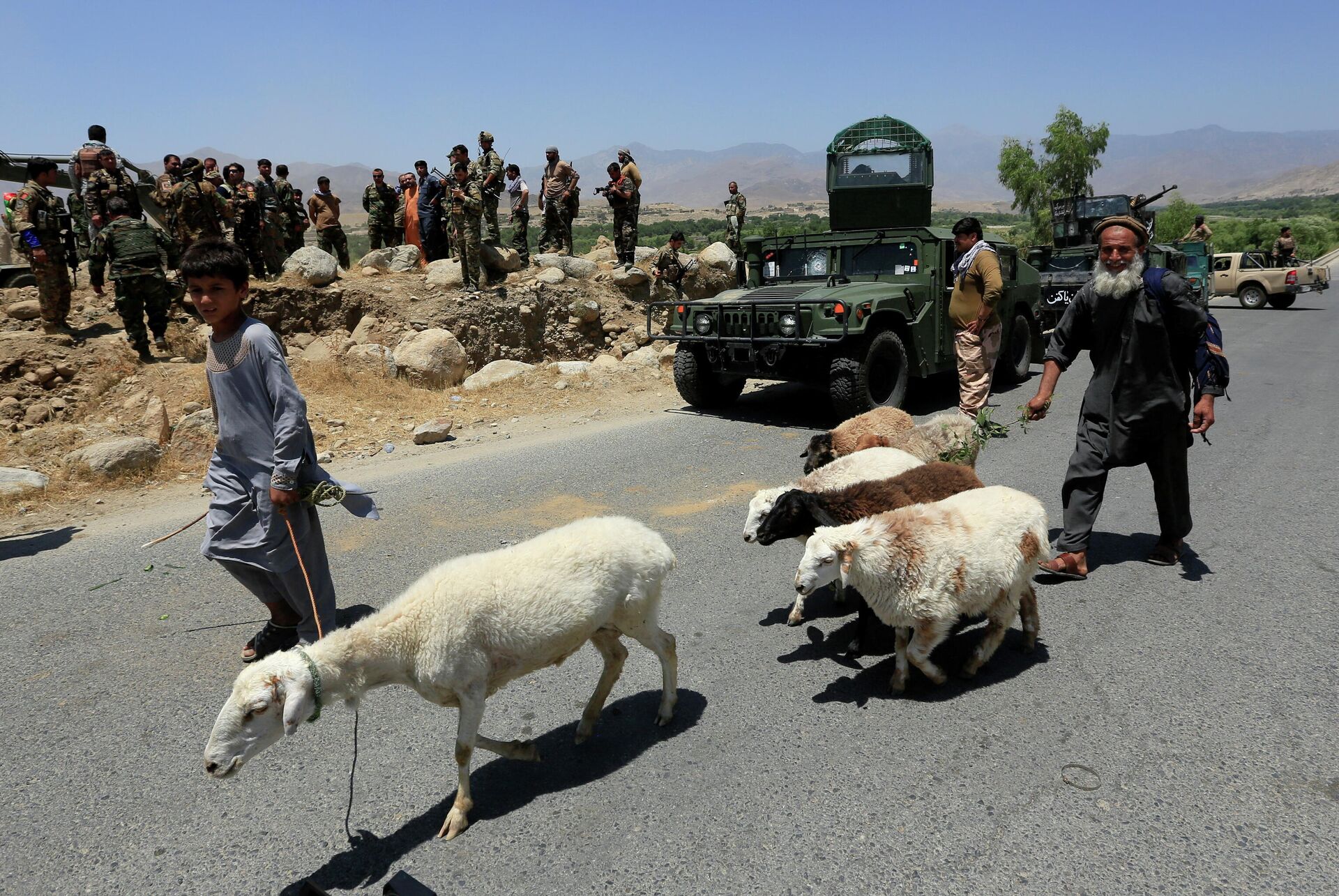 Soldados del Ejército Nacional Afgano en un puesto de control recuperado de los talibanes, mientras un hombre pasa con sus ovejas en el distrito de Alishing de la provincia de Laghman, Afganistán, el 8 de julio de 2021. - Sputnik Mundo, 1920, 09.07.2021