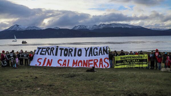 Manifestación contra las salmoneras en Patagonia chilena - Sputnik Mundo