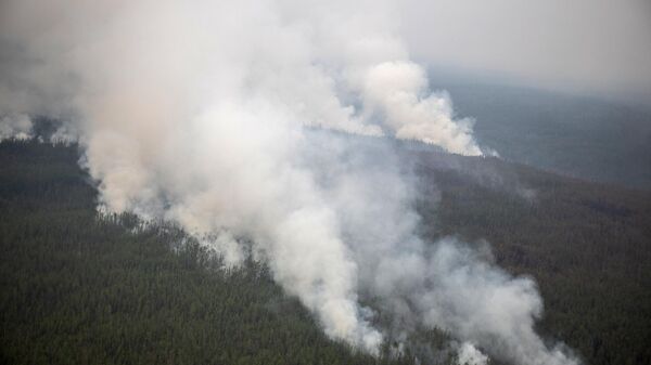 Humo por incendios forestales en Siberia  - Sputnik Mundo