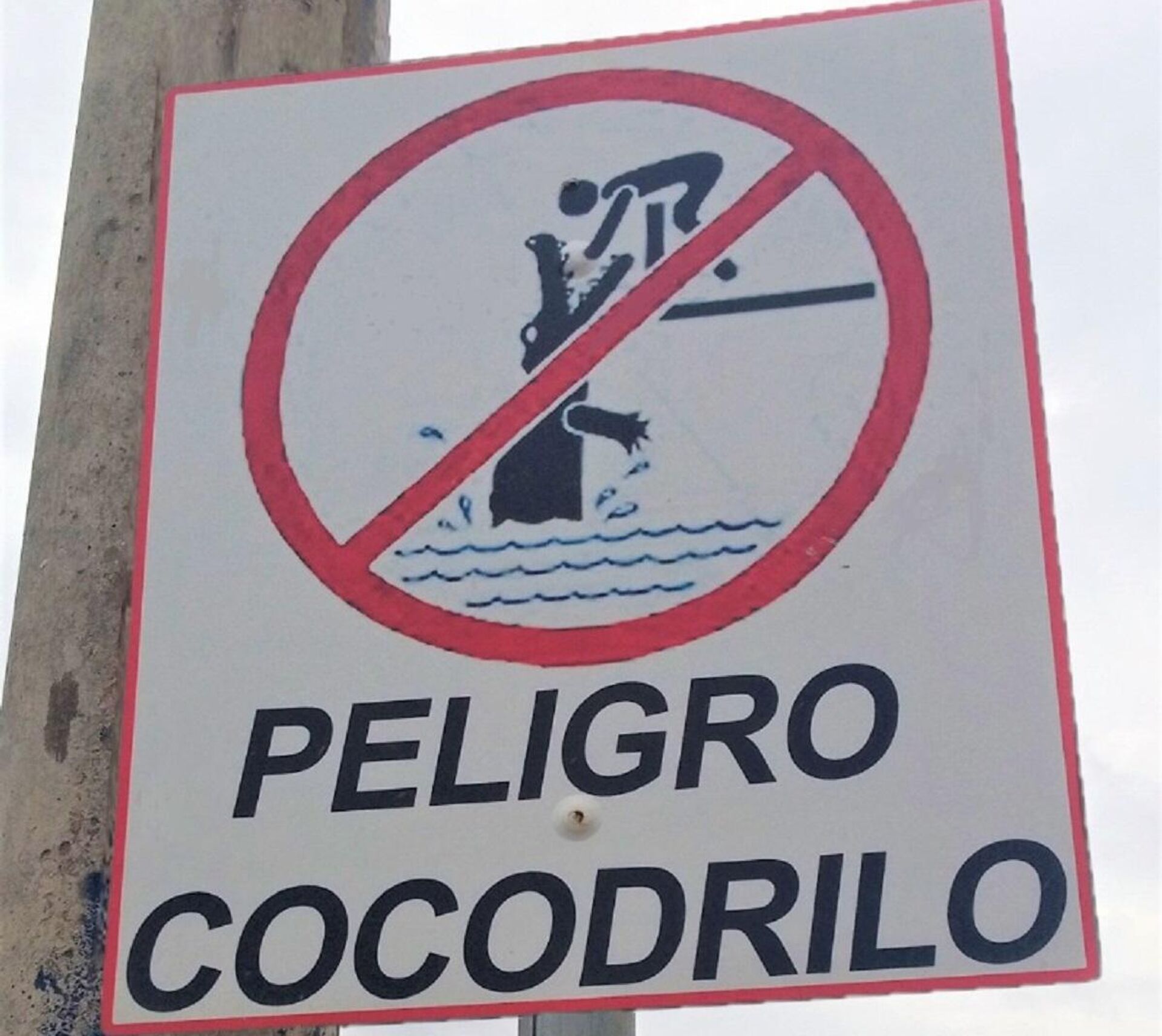 Un cartel advierte a los transeuntes de los caimanes en laguna Palma Verde - Sputnik Mundo, 1920, 21.07.2021