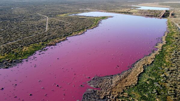 Vista aérea de una laguna que se volvió rosa debido a un químico utilizado para ayudar a la conservación del camarón en las fábricas de pesca cercanas a Trelew, en la provincia patagónica de Chubut (Argentina). Vista aérea de una laguna que se volvió rosa debido a un químico utilizado para ayudar a la conservación del camarón en las fábricas de pesca cercanas a Trelew, en la provincia patagónica de Chubut (Argentina). - Sputnik Mundo