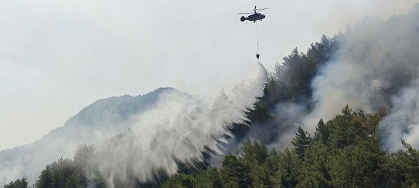 El presidente de Turquía, Recep Tayyip Erdogan, declaró a las regiones afectadas en el sur del país zona de desastre. En la foto: un helicóptero de bomberos lanza agua durante la operación de extinción de un incendio forestal. - Sputnik Mundo