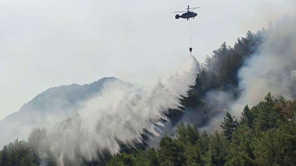 Incendios forestales en Turquía - Sputnik Mundo