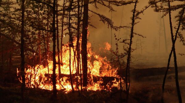 El incendio en un bosque cerca del pueblo de Magaras en la región de Yakutia, Rusia, el 17 de julio de 2021 - Sputnik Mundo