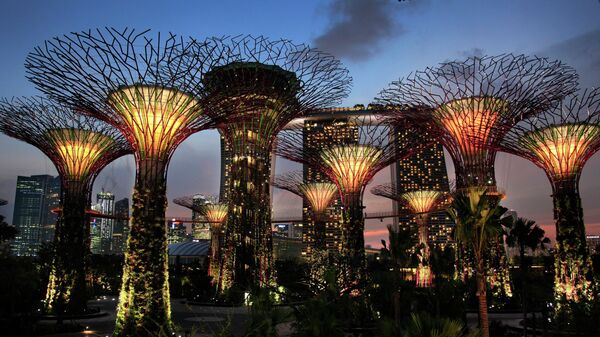 Un parque en Singapur - Sputnik Mundo