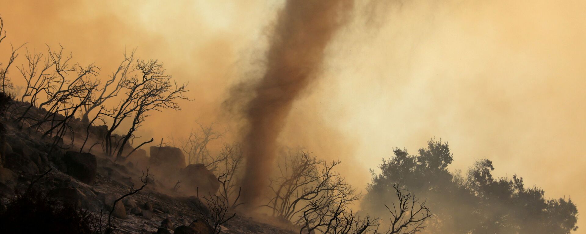 Пепельный вихрь во время природных пожаров в Калифорнии  - Sputnik Mundo, 1920, 12.08.2021