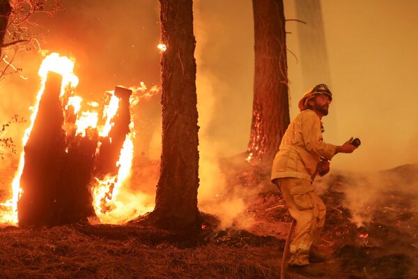 Un bombero lucha contra la propagación del fuego durante un incendio forestal cerca de Taylorsville, California (Estados Unidos) el 10 de agosto. Un bombero lucha contra la propagación del fuego durante un incendio forestal cerca de Taylorsville, California (Estados Unidos) el 10 de agosto. - Sputnik Mundo