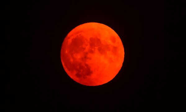 La próxima luna azul estacional como la de ahora se verá en el cielo solamente el 19 de agosto de 2024.En la foto: la luna de esturión en el cielo californiano, en Estados Unidos. - Sputnik Mundo