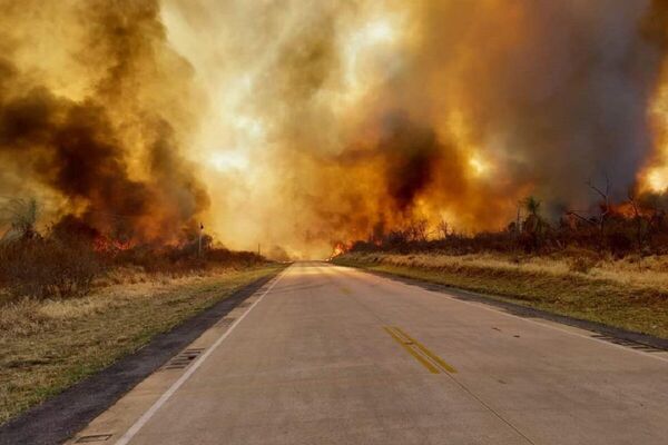 Incendios forestales en Reboré, Santa Cruz, Bolivia - Sputnik Mundo