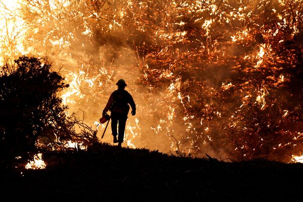 Un bombero durante los trabajos de extinción del incendio Grizzly Flats en California (EEUU). - Sputnik Mundo