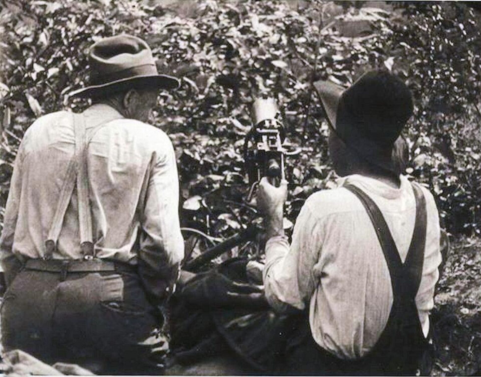 Mineros rebeldes con una ametralladora de Virginia Occidental - Sputnik Mundo, 1920, 02.09.2021