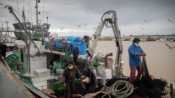 Lonja pesquera de la Cofradía de Pescadores de Sanlúcar de Barrameda, en el puerto de Bonanza - Sputnik Mundo