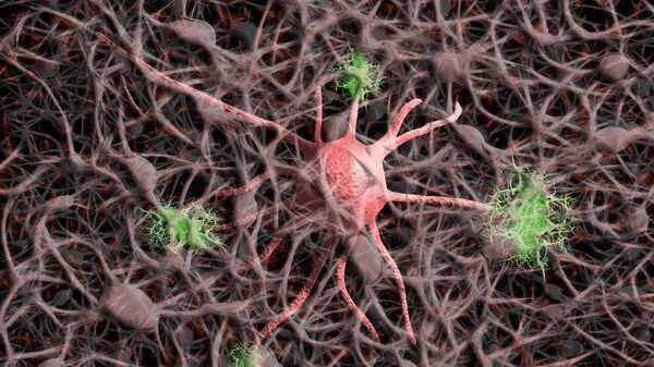 Neuronas (imagen referencial) - Sputnik Mundo