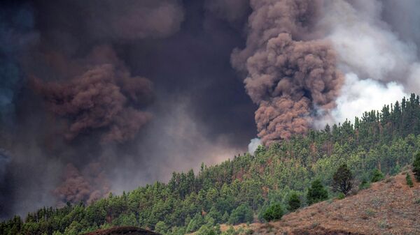 Humo provocado por el paso de la lava del volcán en La Palma, España - Sputnik Mundo