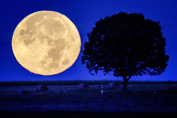 Así se observó la Luna llena en las afueras de Wehrheim, Alemania. - Sputnik Mundo