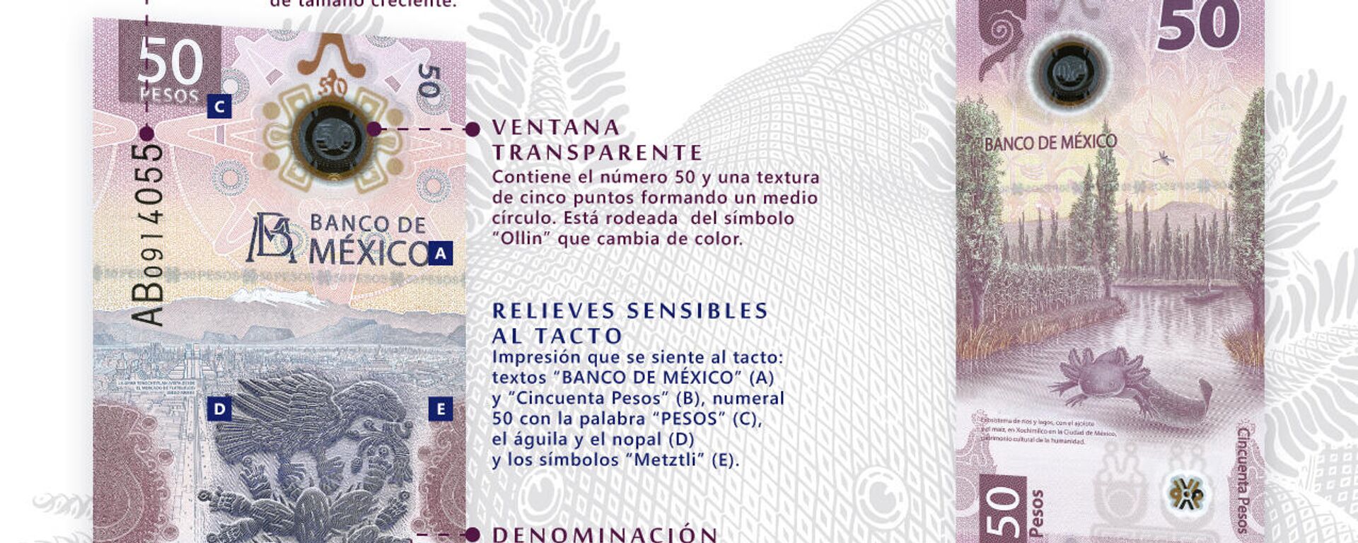 Nuevo billete de 50 pesos del Banco de México - Sputnik Mundo, 1920, 28.10.2021
