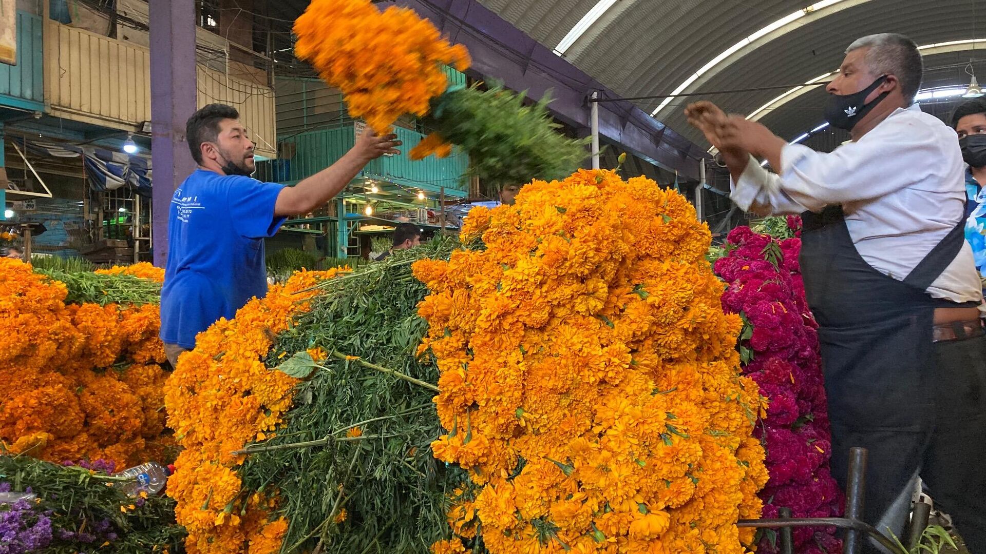 Jamaica, el mercado de flores mexicano que vive en Día de Muertos -  , Sputnik Mundo