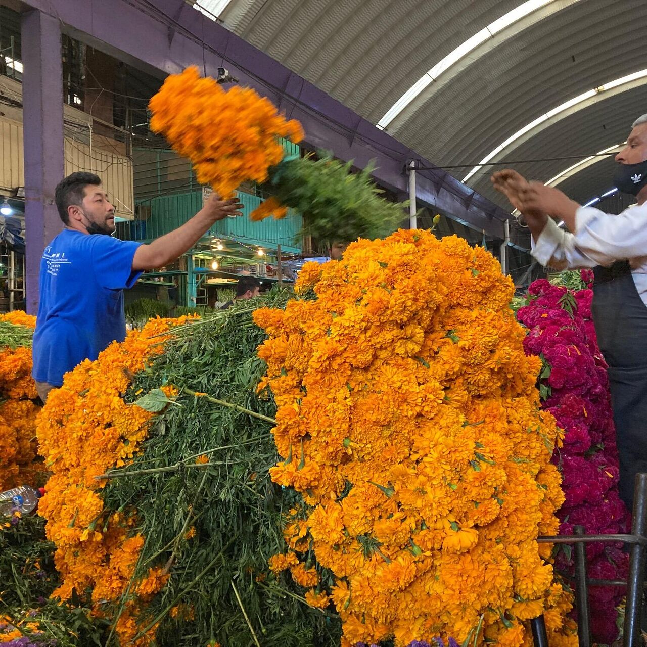 Jamaica, el mercado de flores mexicano que vive en Día de Muertos -  , Sputnik Mundo