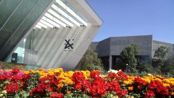Arreglo floral por el Día de Muertos en el Museo Universitario Arte Contemporáneo de la UNAM - Sputnik Mundo