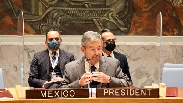 Juan Ramón de la Fuente, presidente del Consejo de Seguridad de la ONU - Sputnik Mundo