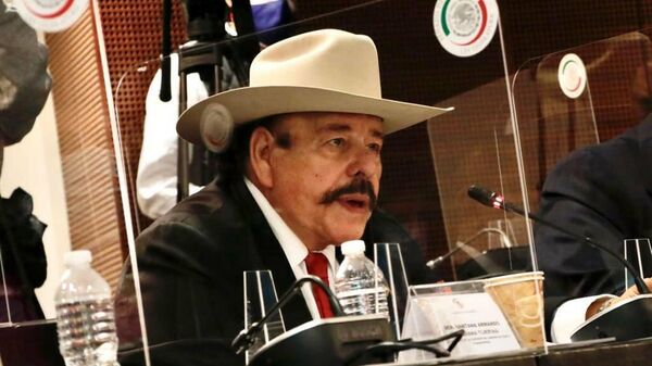 Armando Guadiana, senador de Morena en México - Sputnik Mundo
