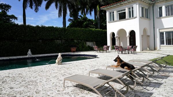 El perro Gunther VI en su casa en Miami, Florida - Sputnik Mundo