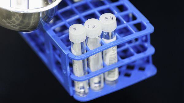 Un médico realiza pruebas RT-PCR en una instalación de prueba de COVID-19  - Sputnik Mundo