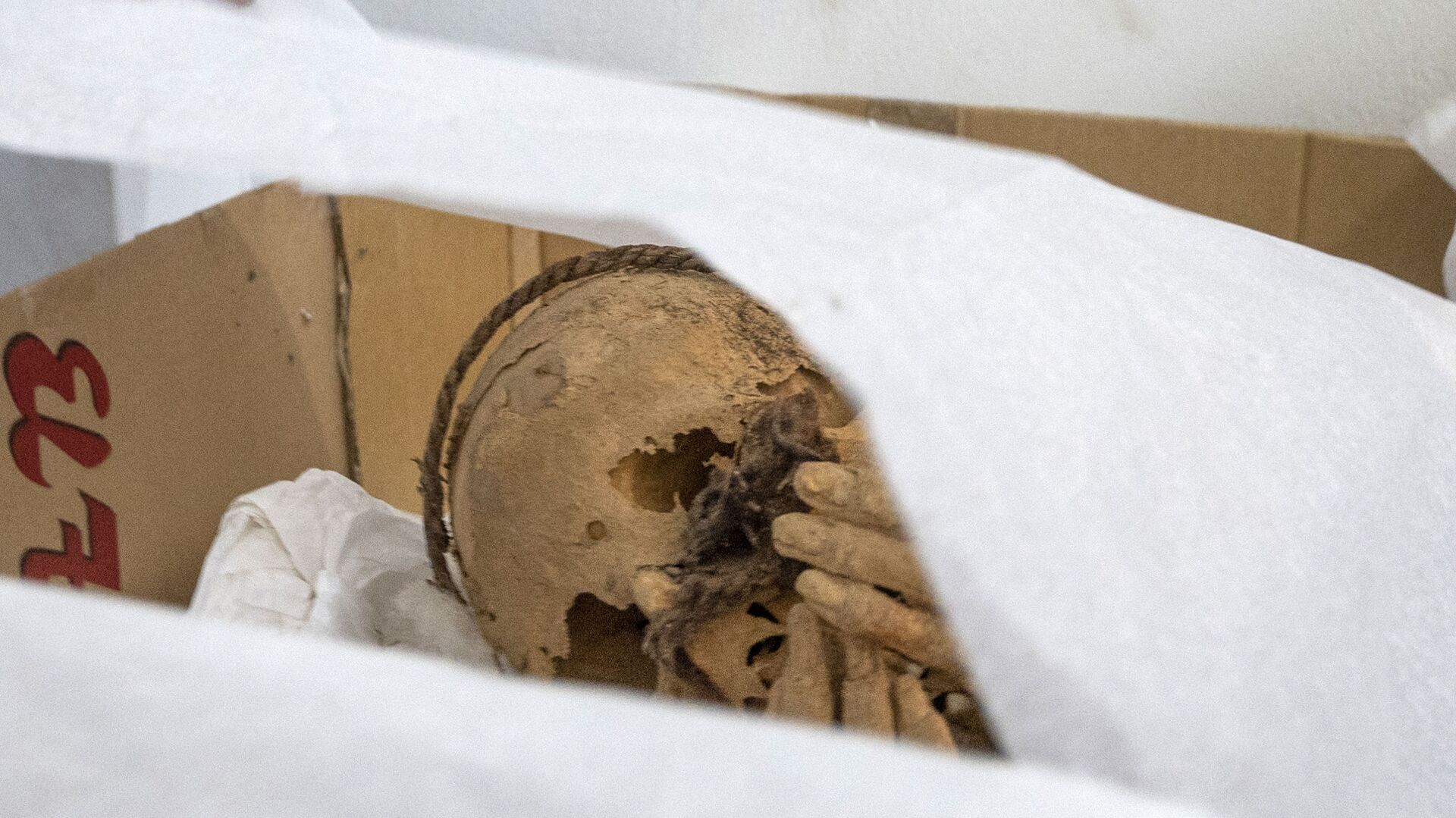 Обнаруженная мумия во время археологических раскопок в Перу  - Sputnik Mundo, 1920, 29.12.2021