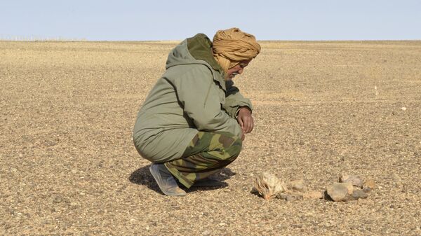 Un vigilante de seguridad mirando una mina antipersonal en el Sáhara Occidental - Sputnik Mundo