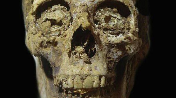 Muestra de uno de los esqueletos encontrados por los arqueólogos en Egipto - Sputnik Mundo