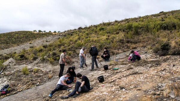 Paleontólogos trabajando en el yacimiento de La Torre (La Rioja) - Sputnik Mundo